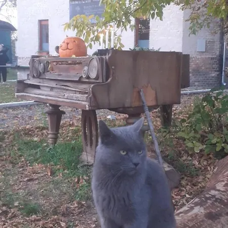 Toronyszoba Gasthof Szob