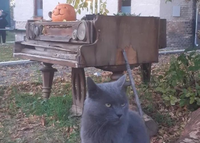 Toronyszoba Vendégház Szob